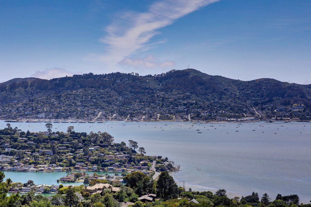 Extraordinary Tiburon Sanctuary