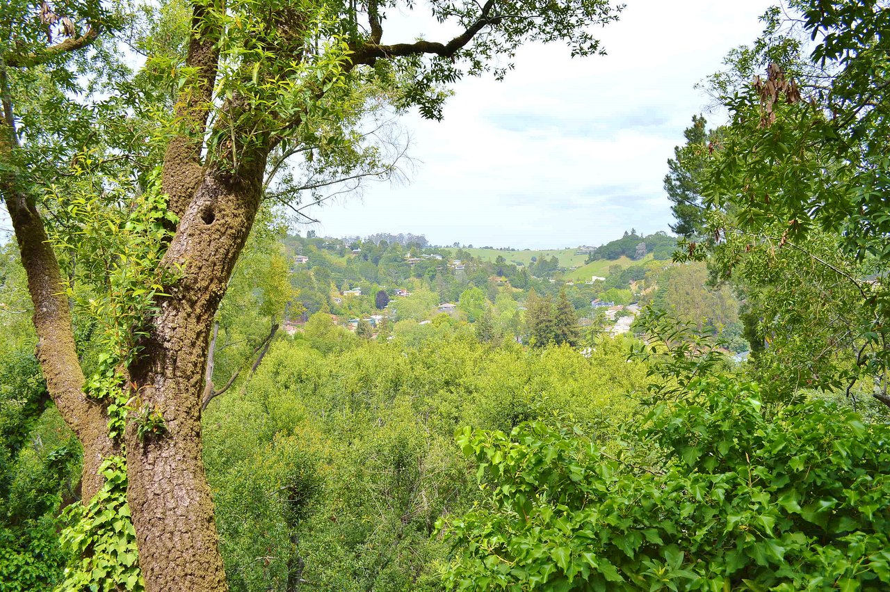 105 Spring Grove Avenue, San Anselmo