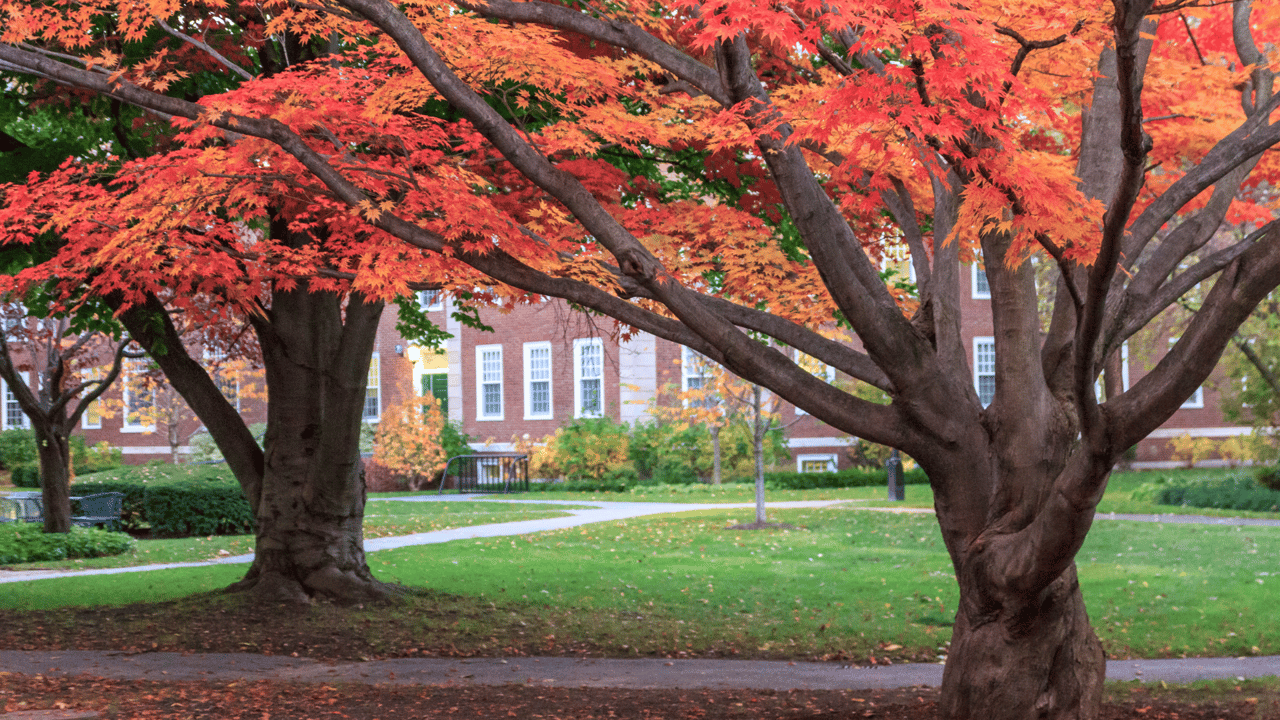 Fall in Massachusetts