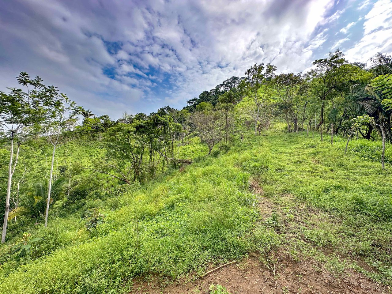 177 acre Ocean view property with multiple plantels, unspoiled mountain, jungle, river and waterfall areas