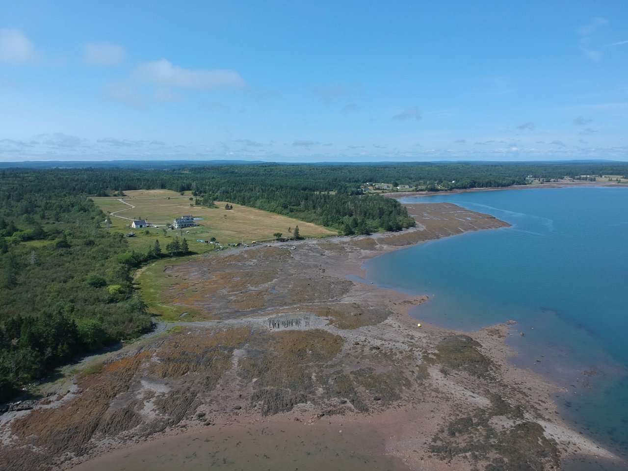 The Impact of Decreasing Access to Tidal Areas