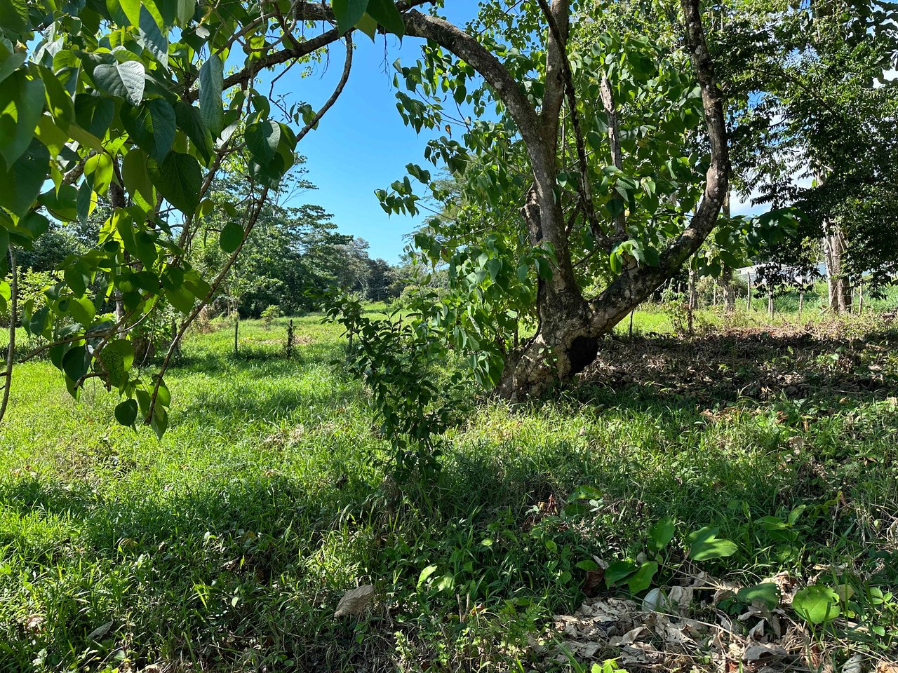 Over 3 Acres, Mountain View Lot in the Heart of Ojochal, Ready for Development!.