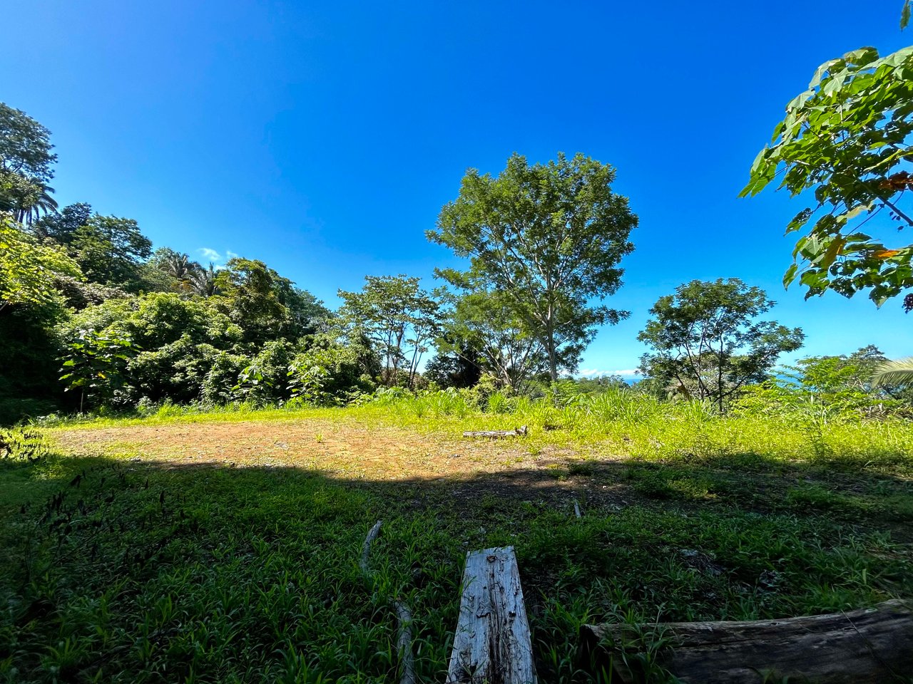 Ocean View Property in Playa Hermosa, Over 1.75 Acres