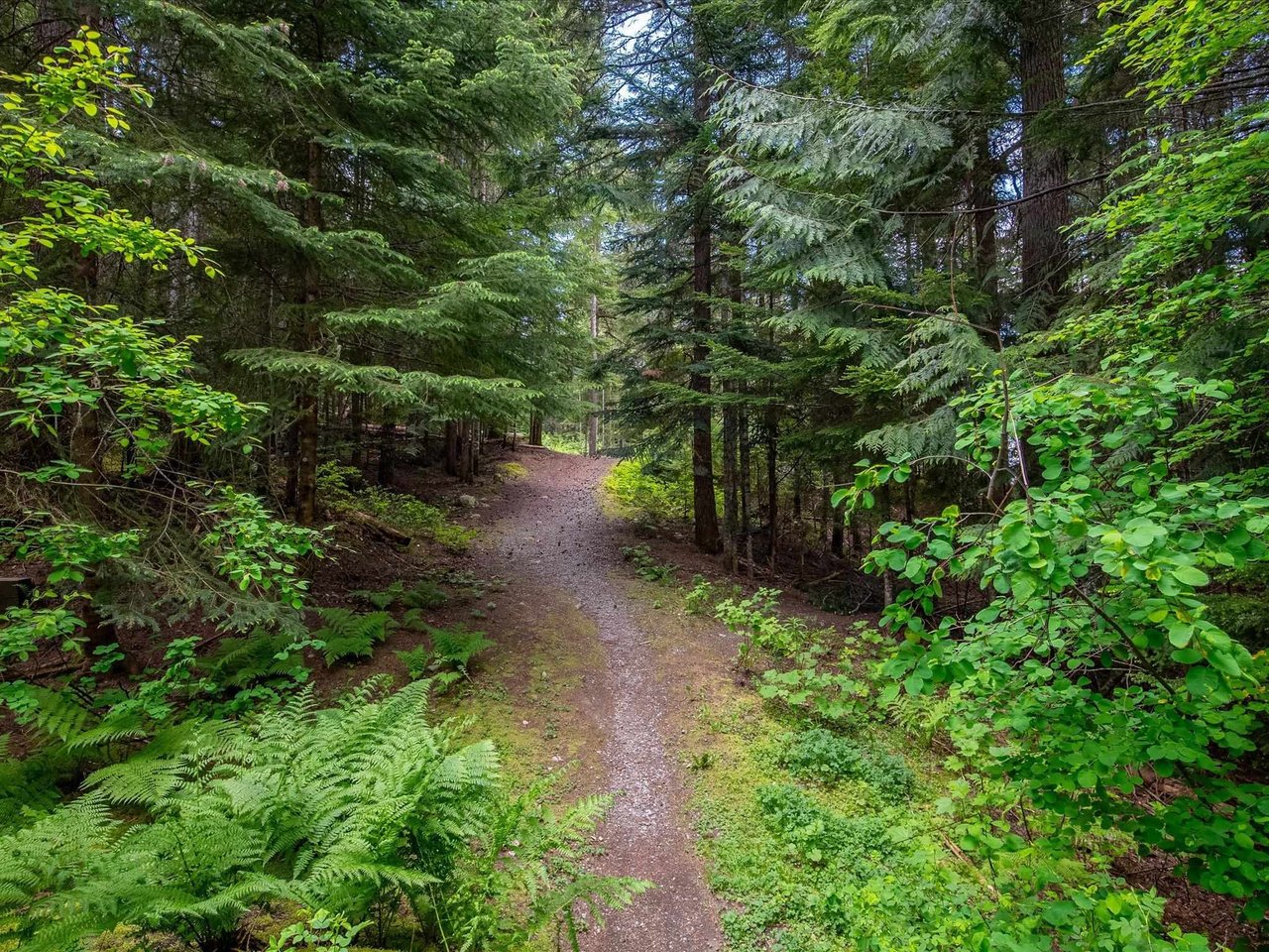 21-4661 Blackcomb Wy