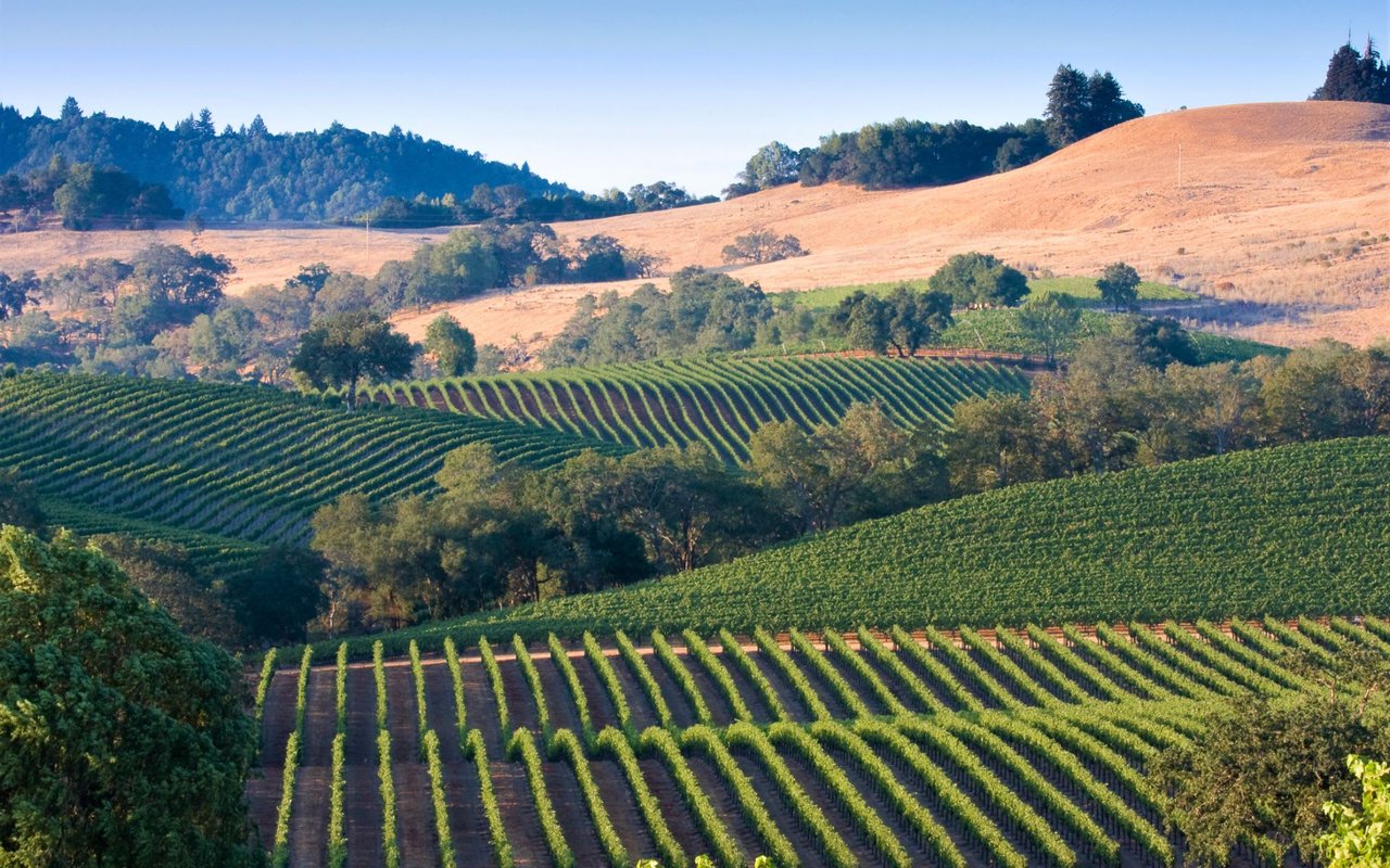 Russian River Valley