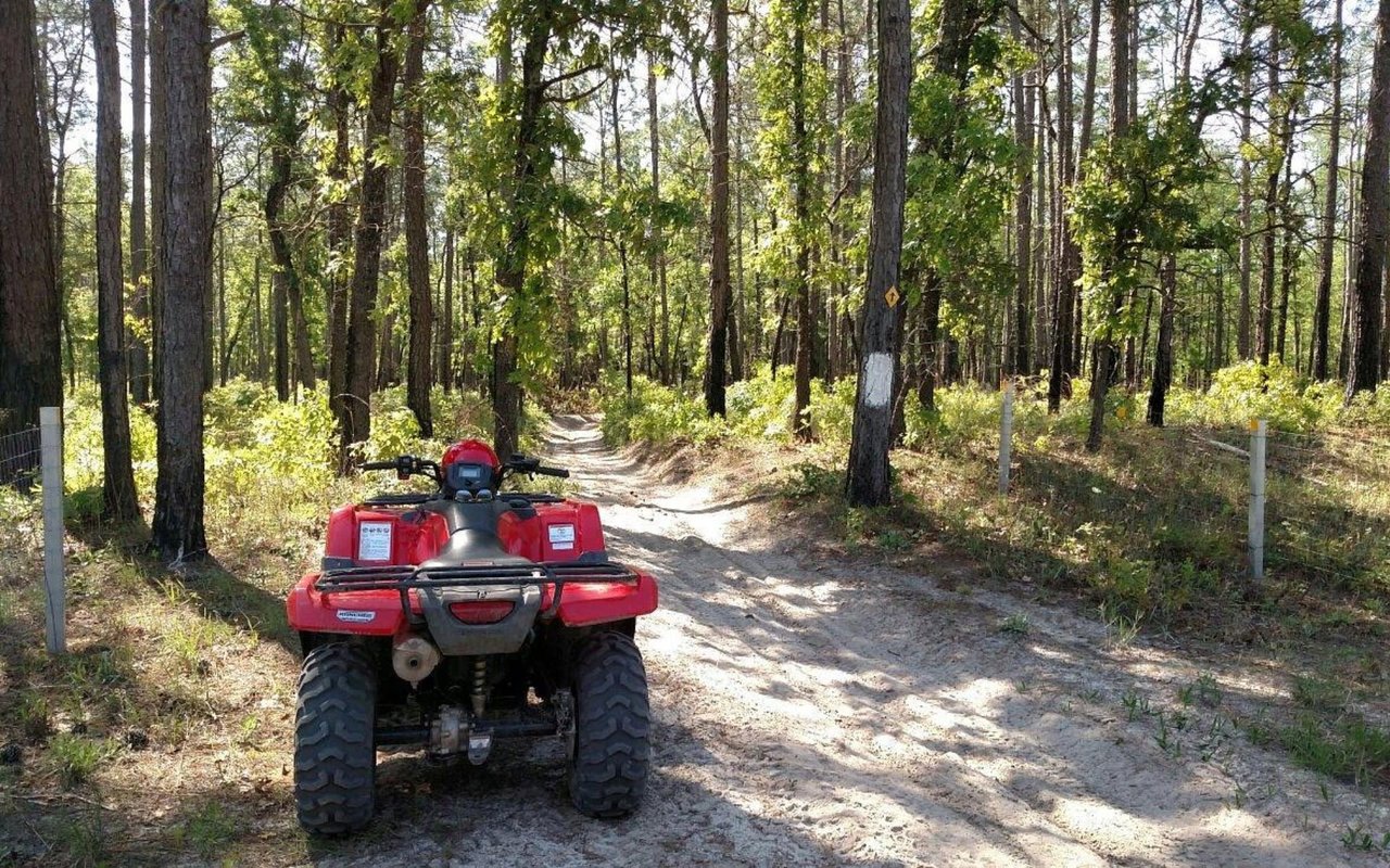 Things to Do Near Huger, SC