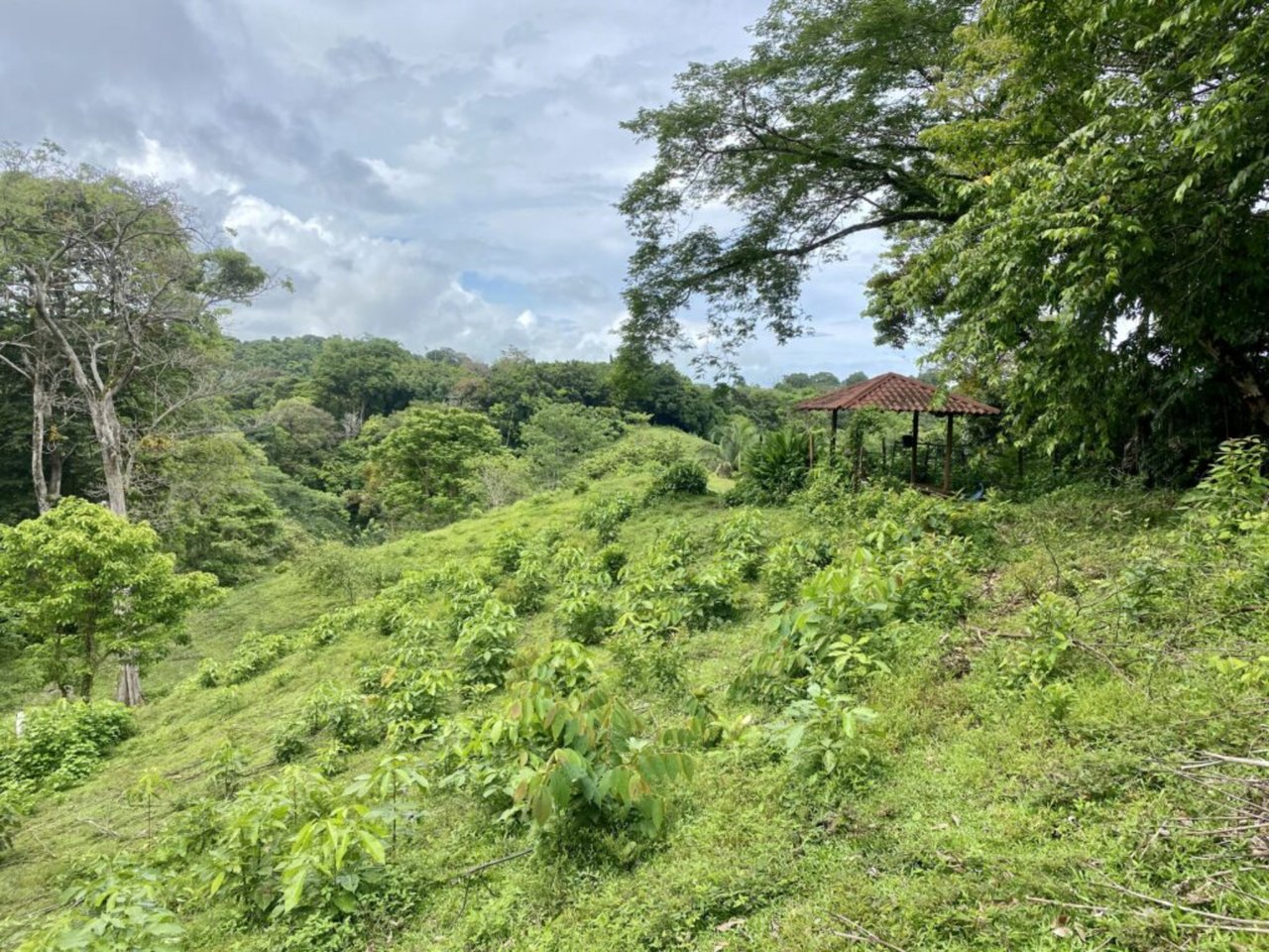 Prime Development Homesite, Manuel Antonio, Puntarenas