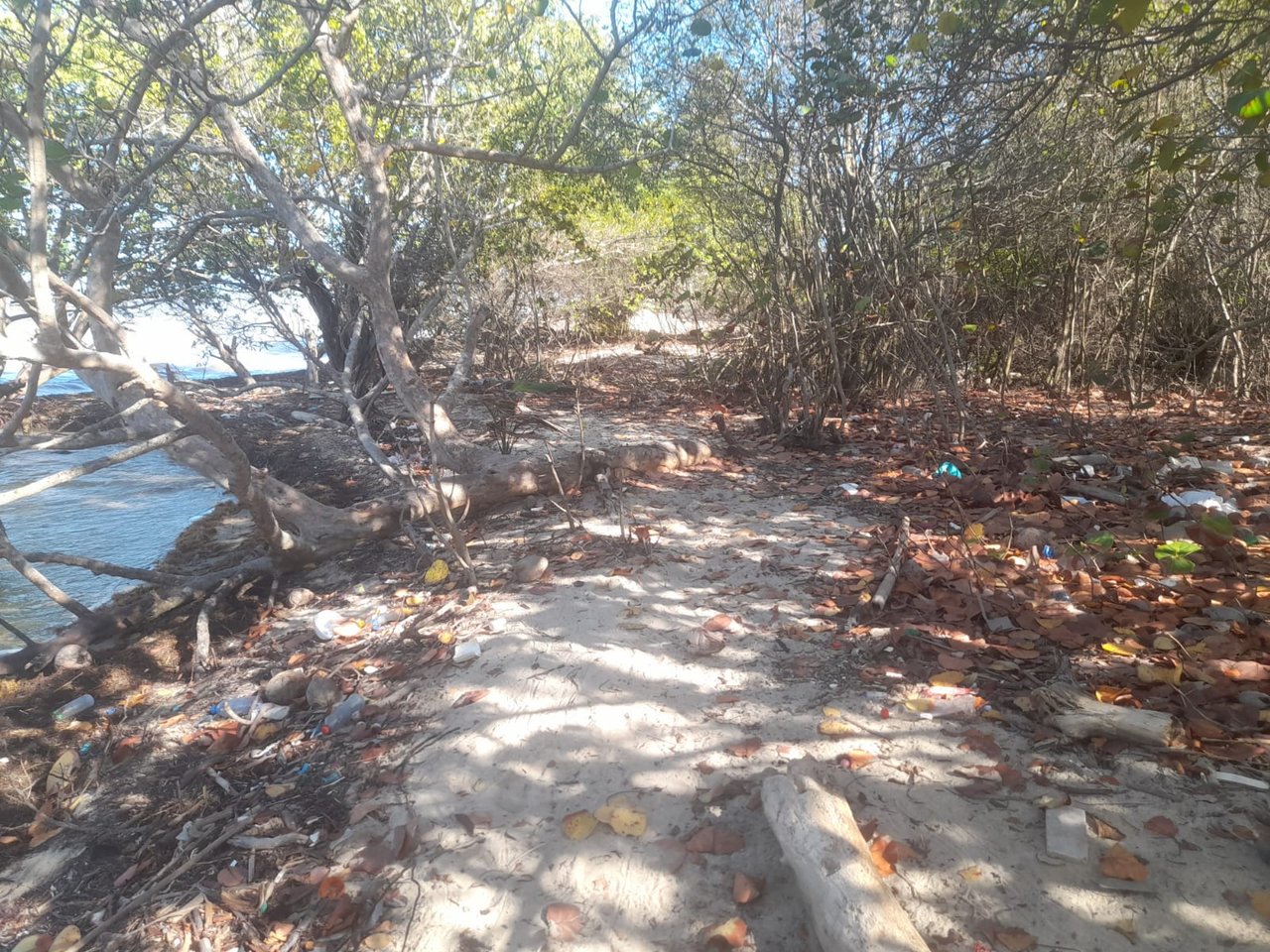 Charming 1.6 acre Caribbean Beachfront peninsular in Dangriga Town, Belize