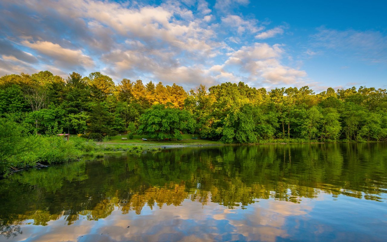 Northern VA & Montgomery County