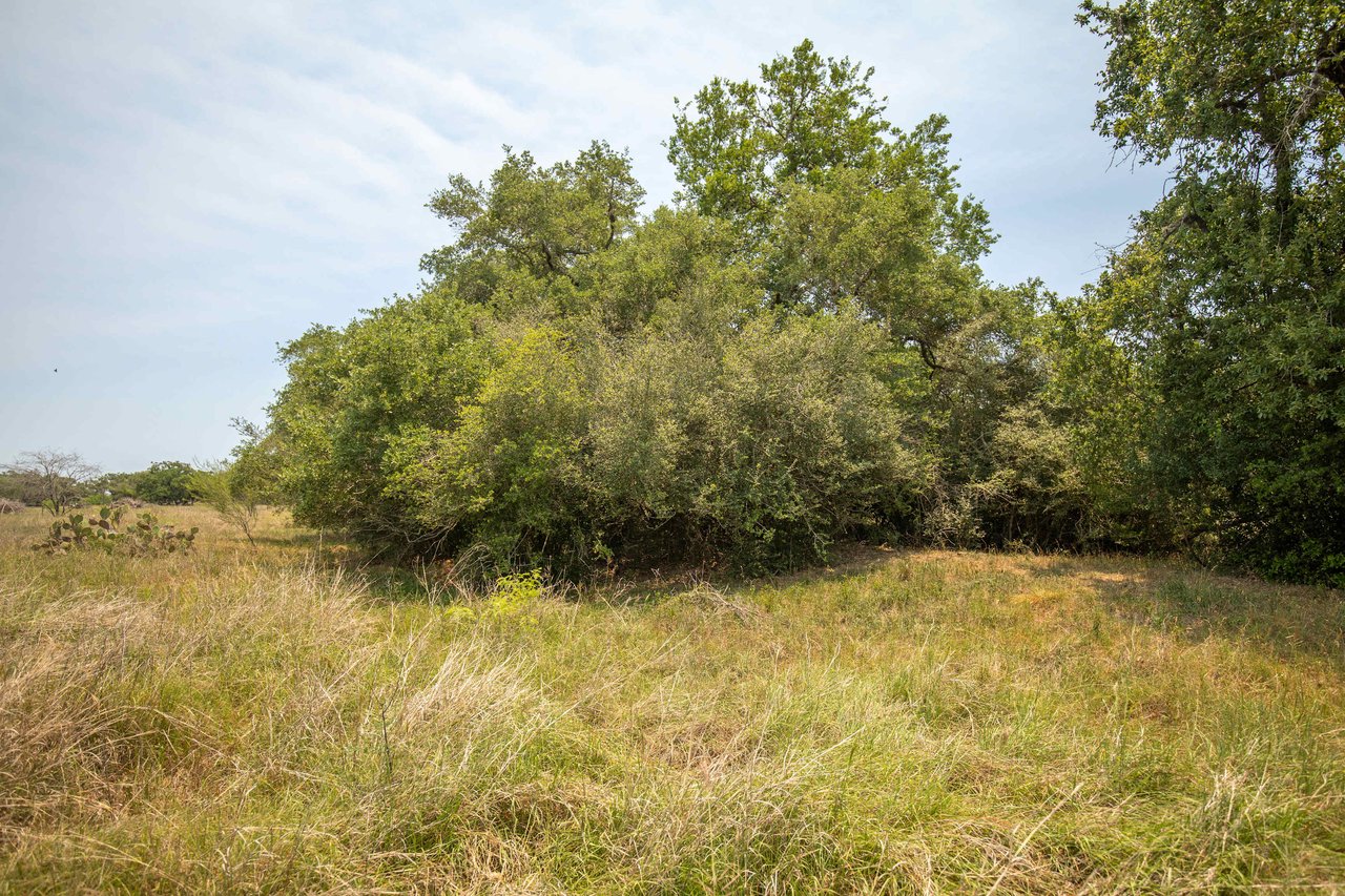 Green DeWitt Rd | 40.82± Acres | DeWitt County