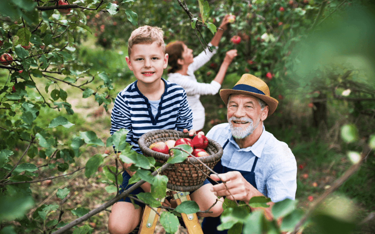 Exploring the Best U-Pick Farms Near Louisville