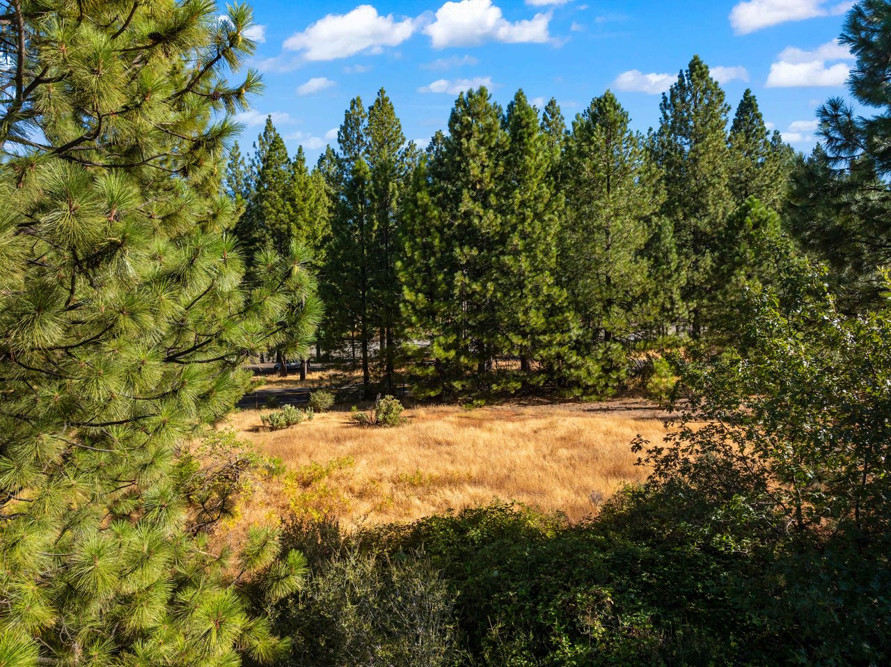 3131 Sierra Blanca Dr, Camino