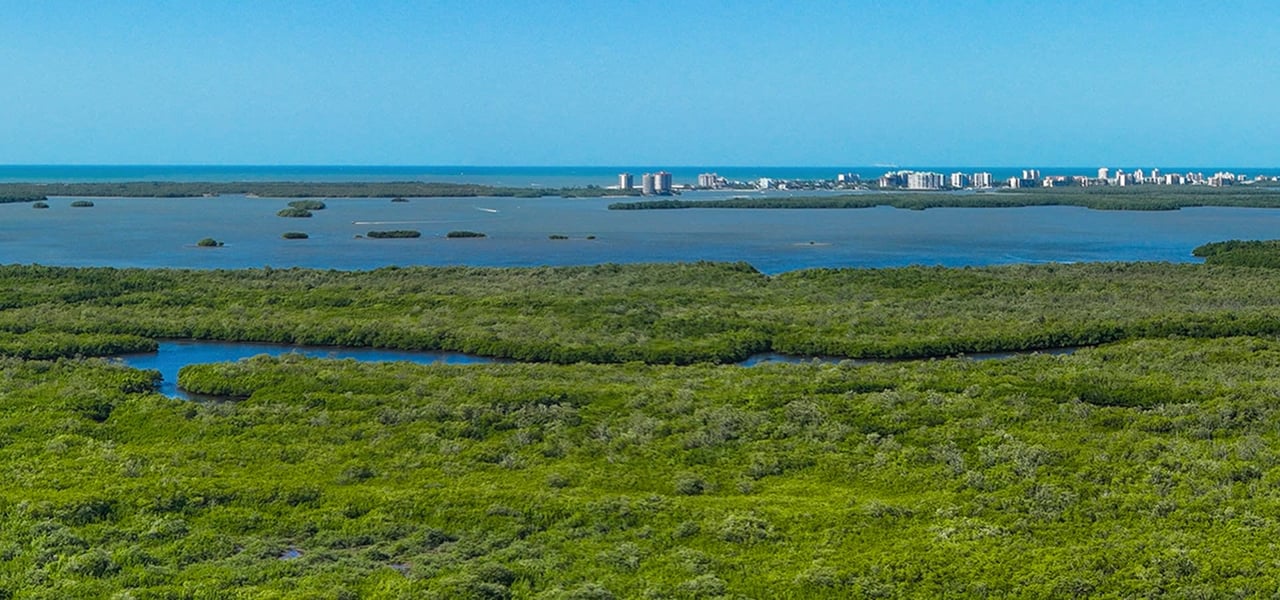 The Island at West Bay Residences