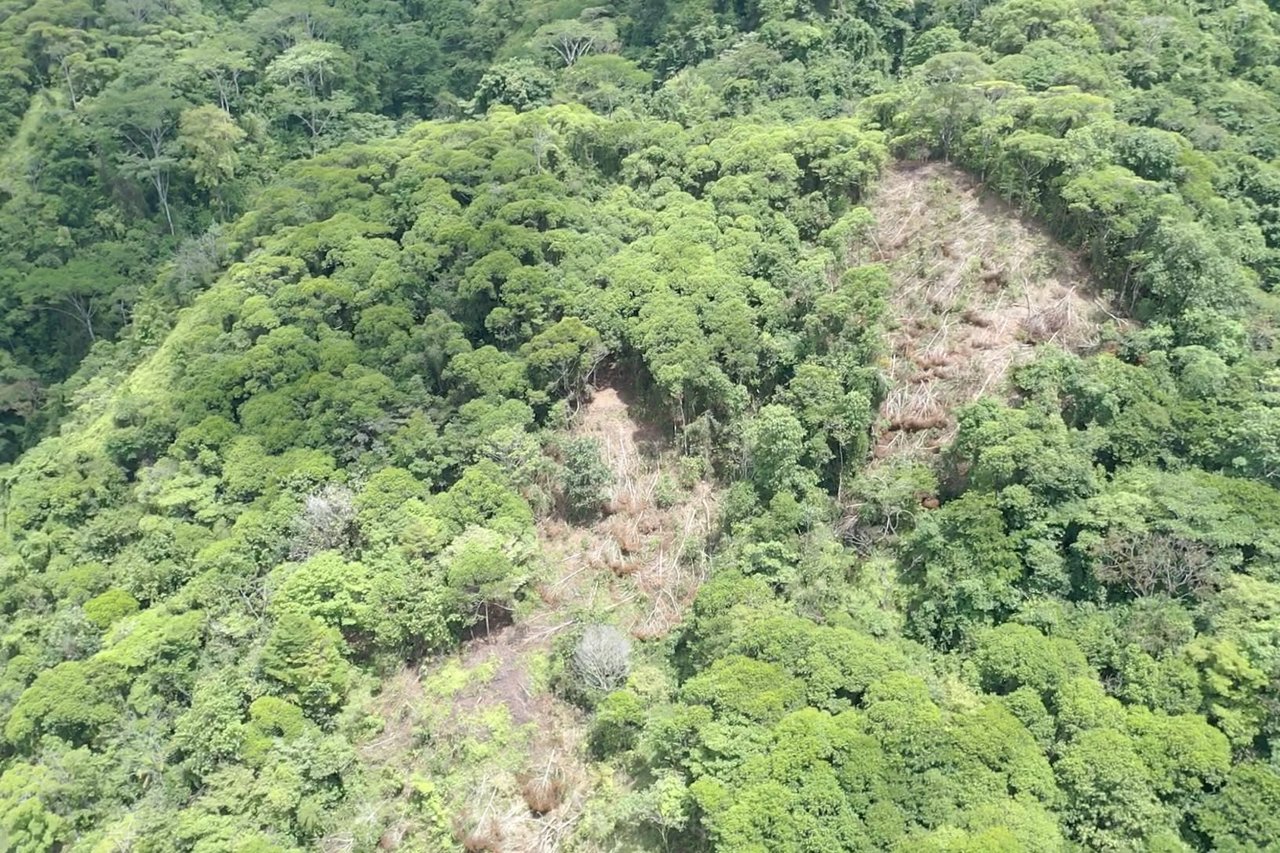 42 Acres With Waterfalls, Ocean Views & Multiple Building Sites Sliencio Ariba