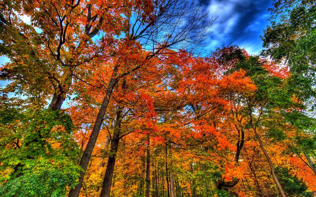 20 Best Things to do in Mississauga cover