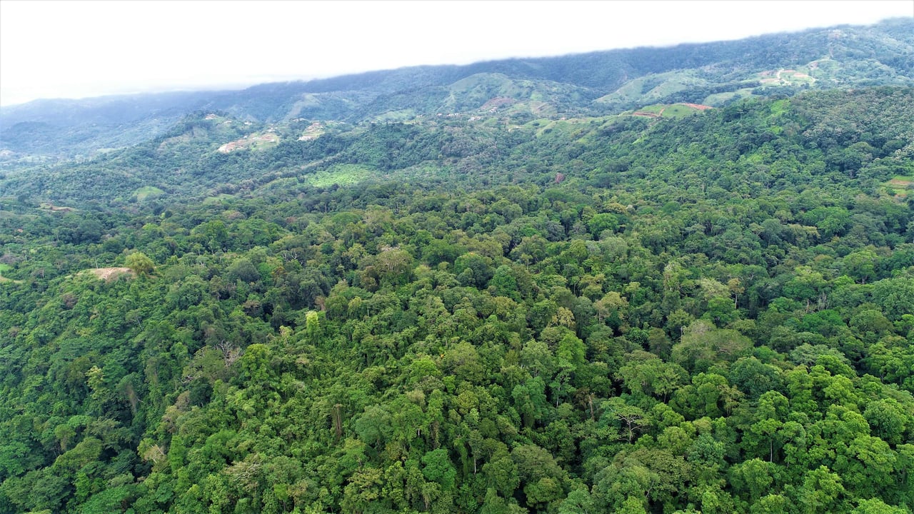 9 acres property with 360 panoramic views and 80m highway frontage