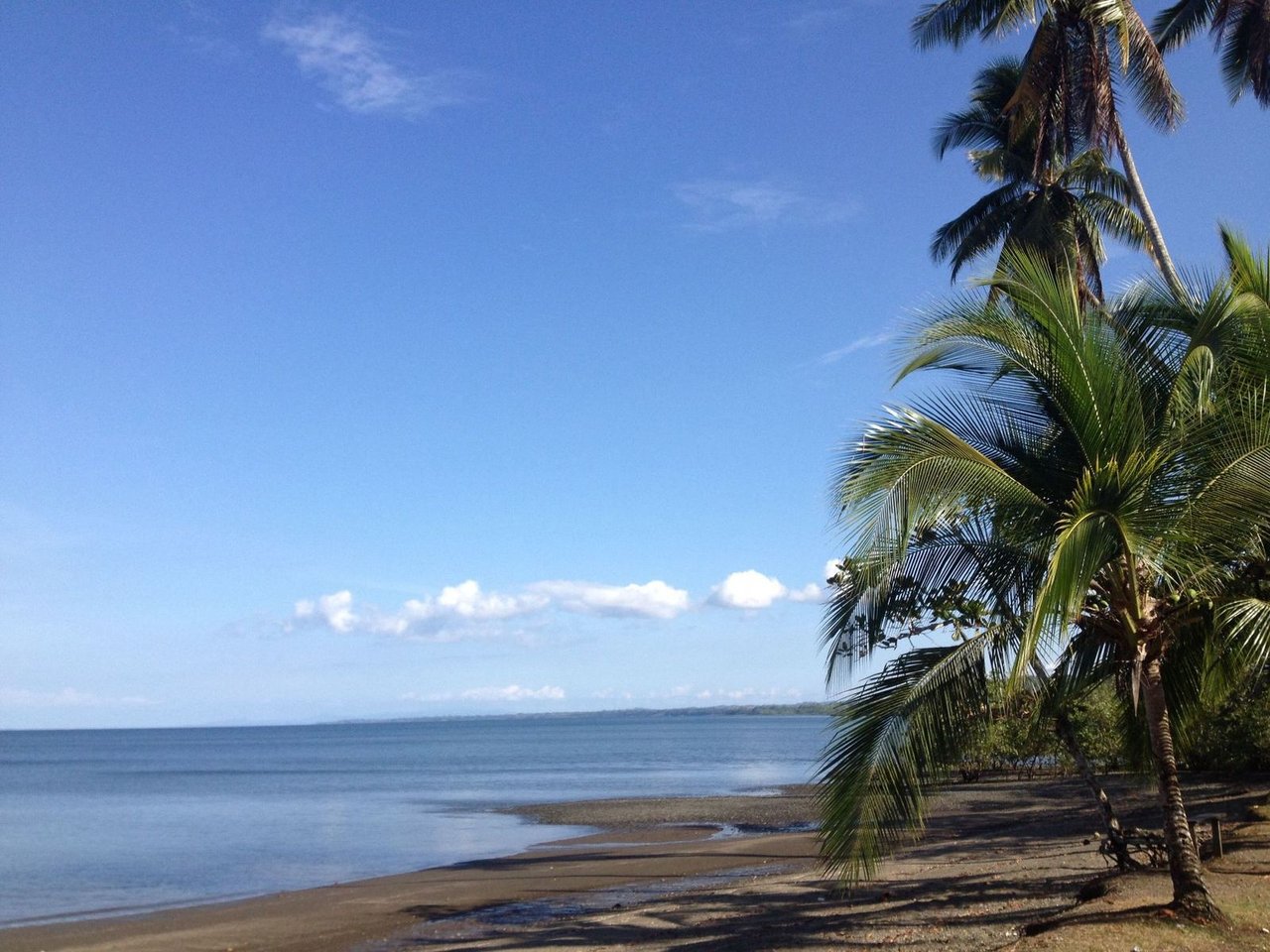 Ocean View Rainforest Acreage, Osa, Puntarenas