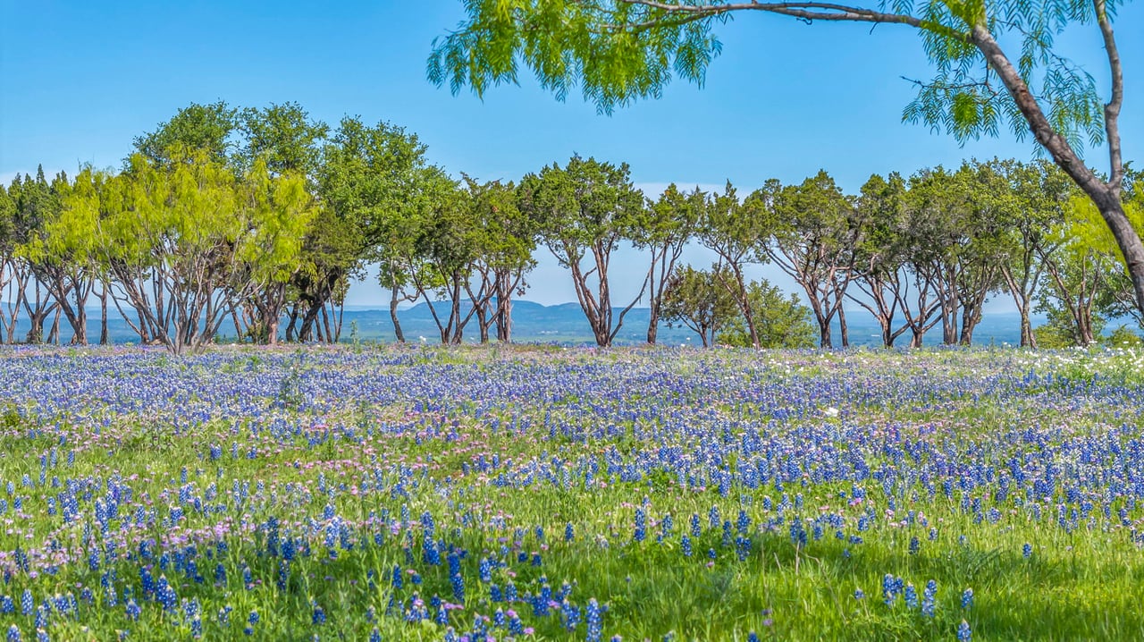 87 Acres Ranch