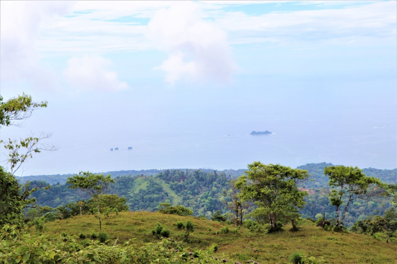 Ocean View Development Farms, Uvita, Puntarenas
