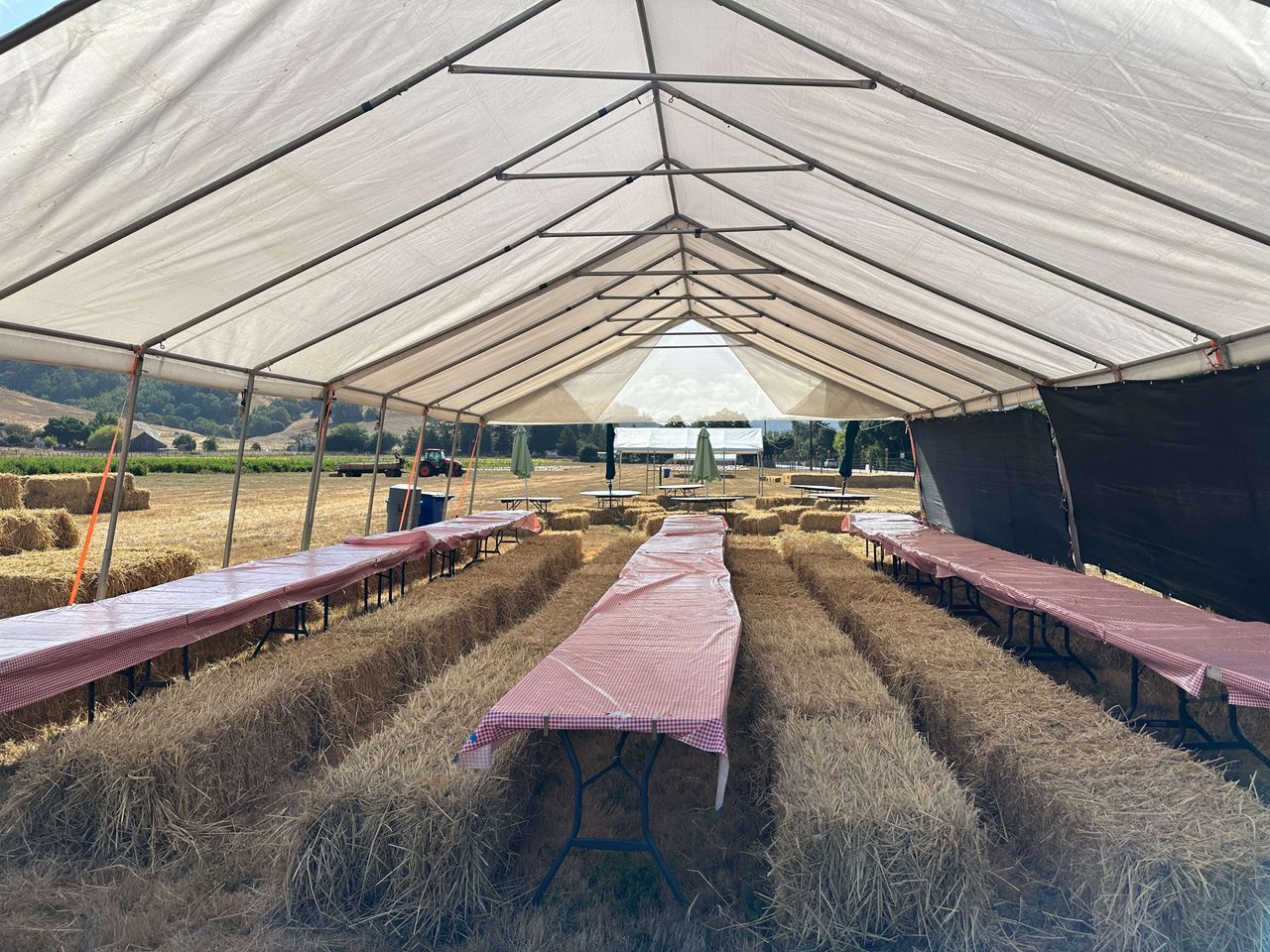 Celebrate Fall in Marin County with a Visit to Nicasio Valley Pumpkin Patch