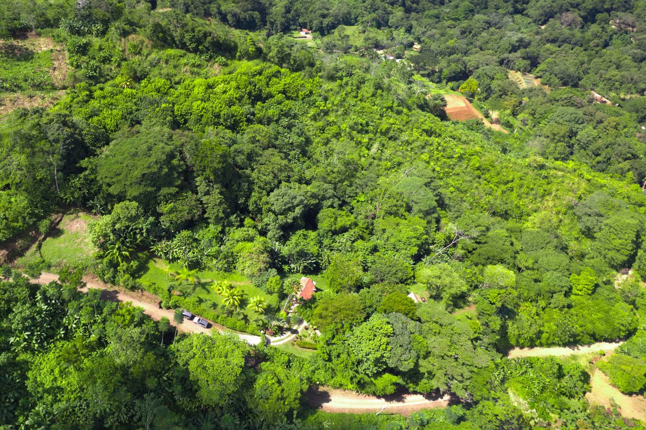 Cozy Sunset Ocean-View Bungalow On 3.5 Acres Of Jungle With Creeks, & Abundant Wildlife In Tres Rios Costa Rica