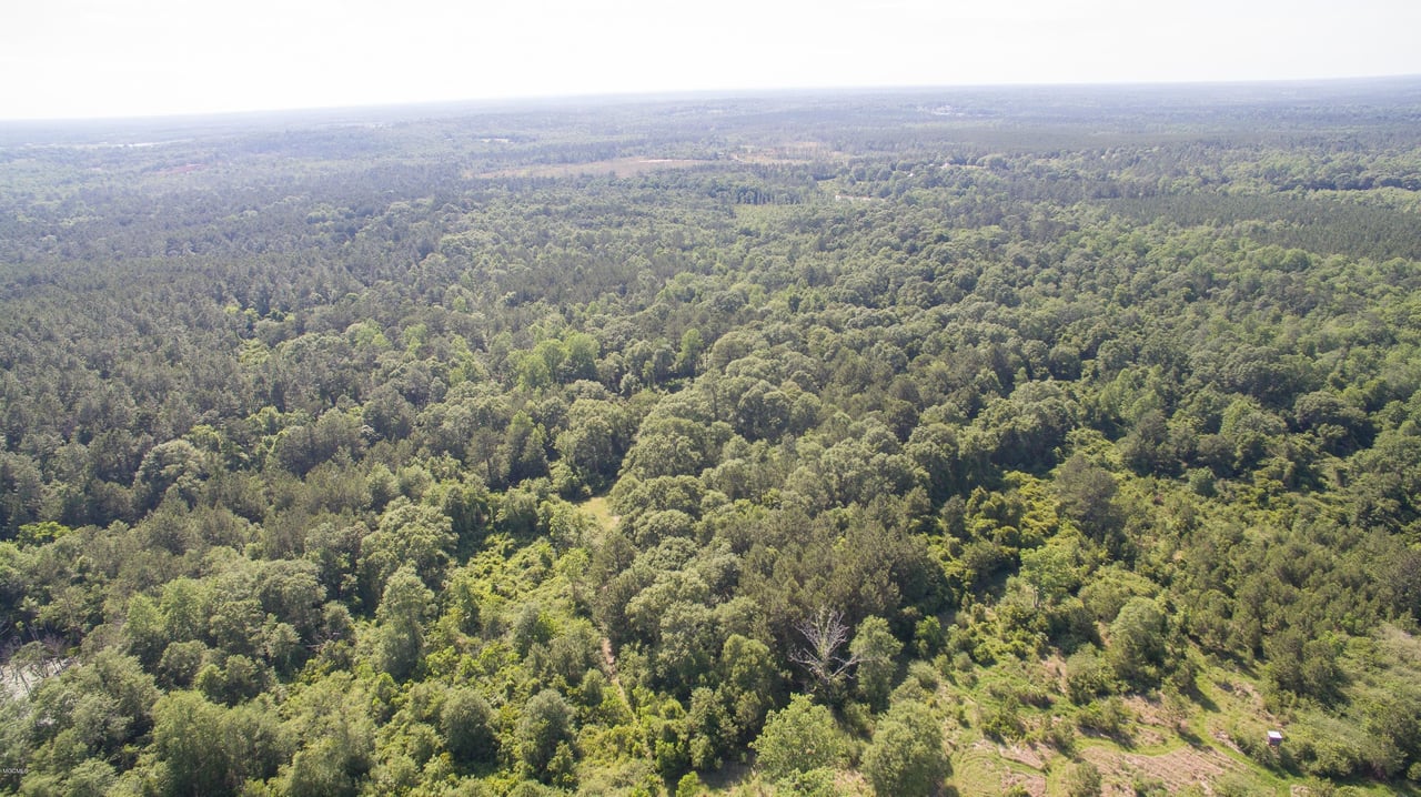 32331 Carey Smith Rd