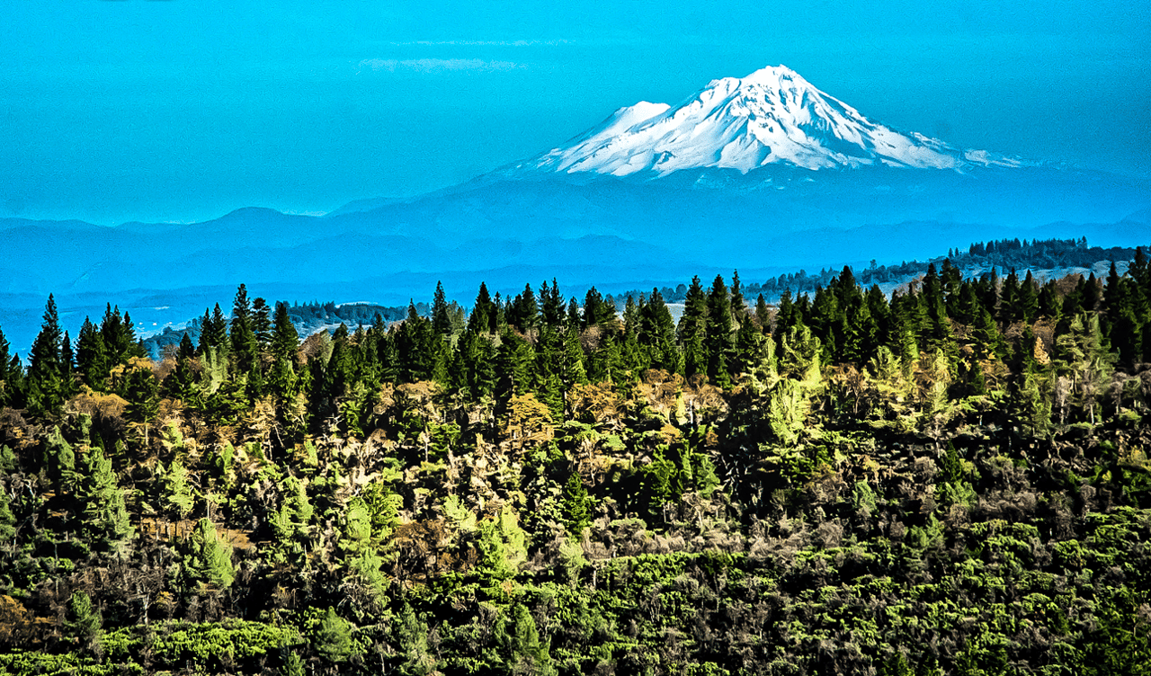 Mount Shasta