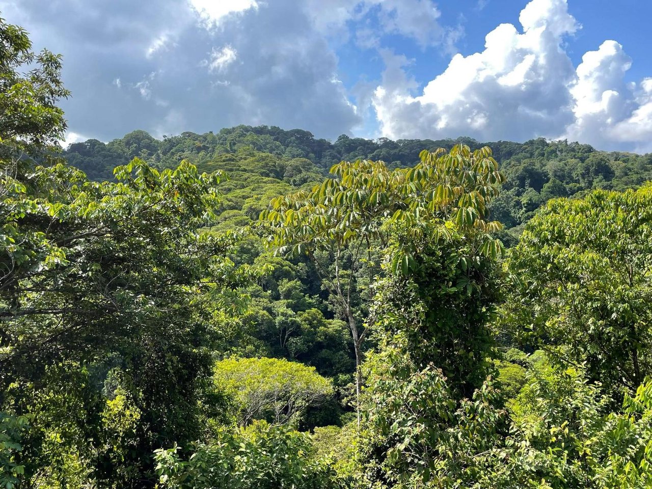 Ocean View Rainforest Estate, Ojochal, Puntarenas