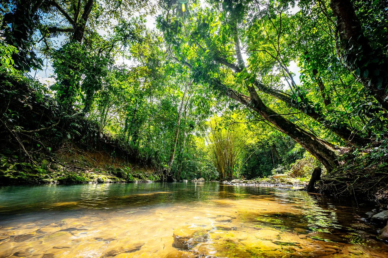 Jungle Compound With River Access, Lake Arenal, Alajuela