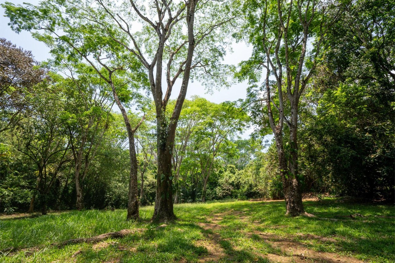 Private Ocean View Development Lot, Dominical, Puntarenas