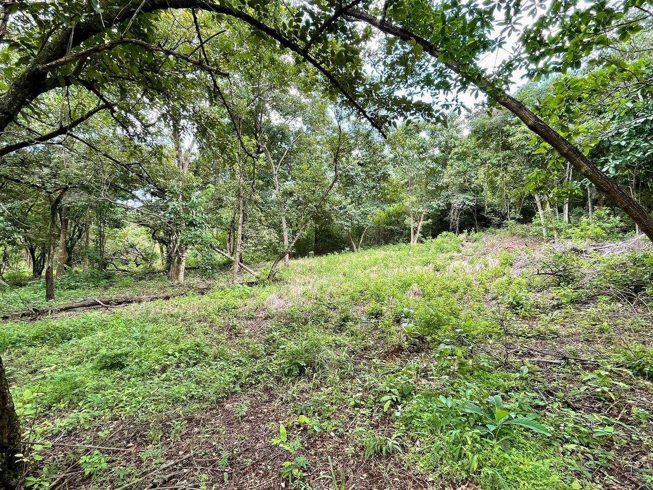 Private Tropical Building Lot, Tamarindo, Guanacaste