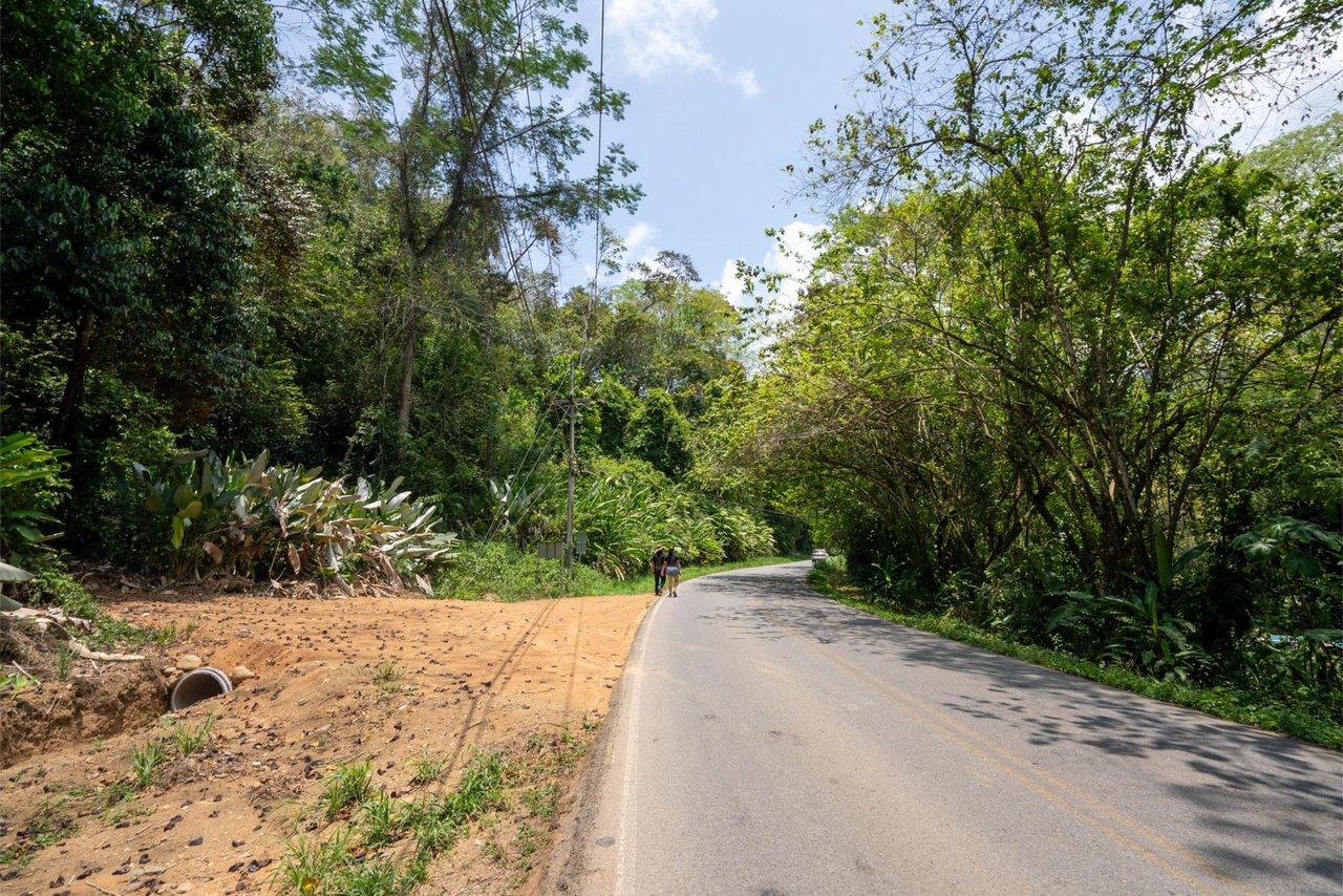 Private Ocean View Development Lot, Dominical, Puntarenas