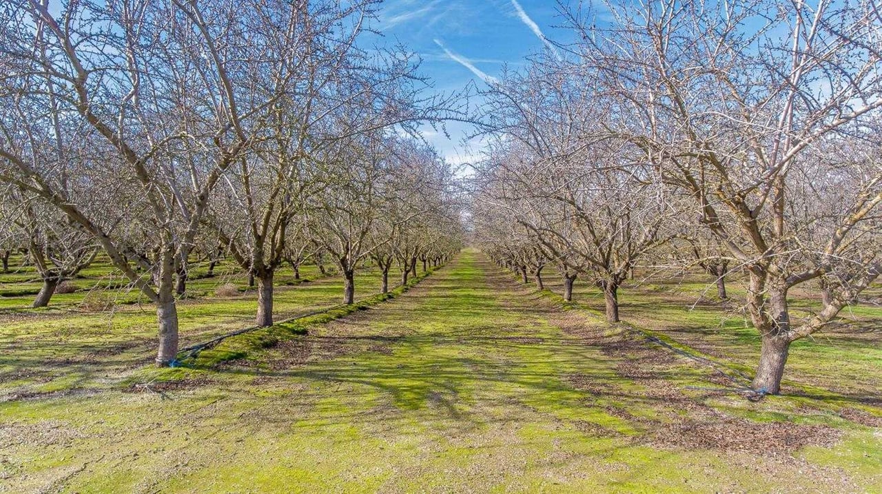 Buchanan Hollow Road