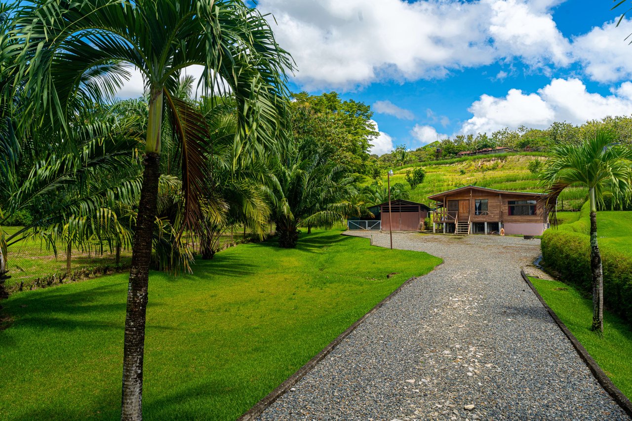 La Palma Cabin - 2 Bed 1 Bath Retreat