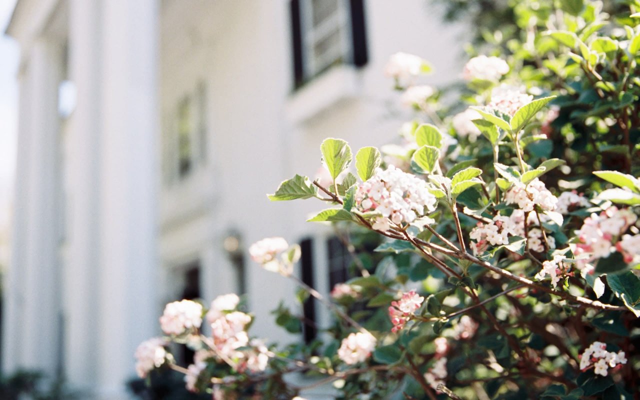 Talbot Team Tips: August Newsletter