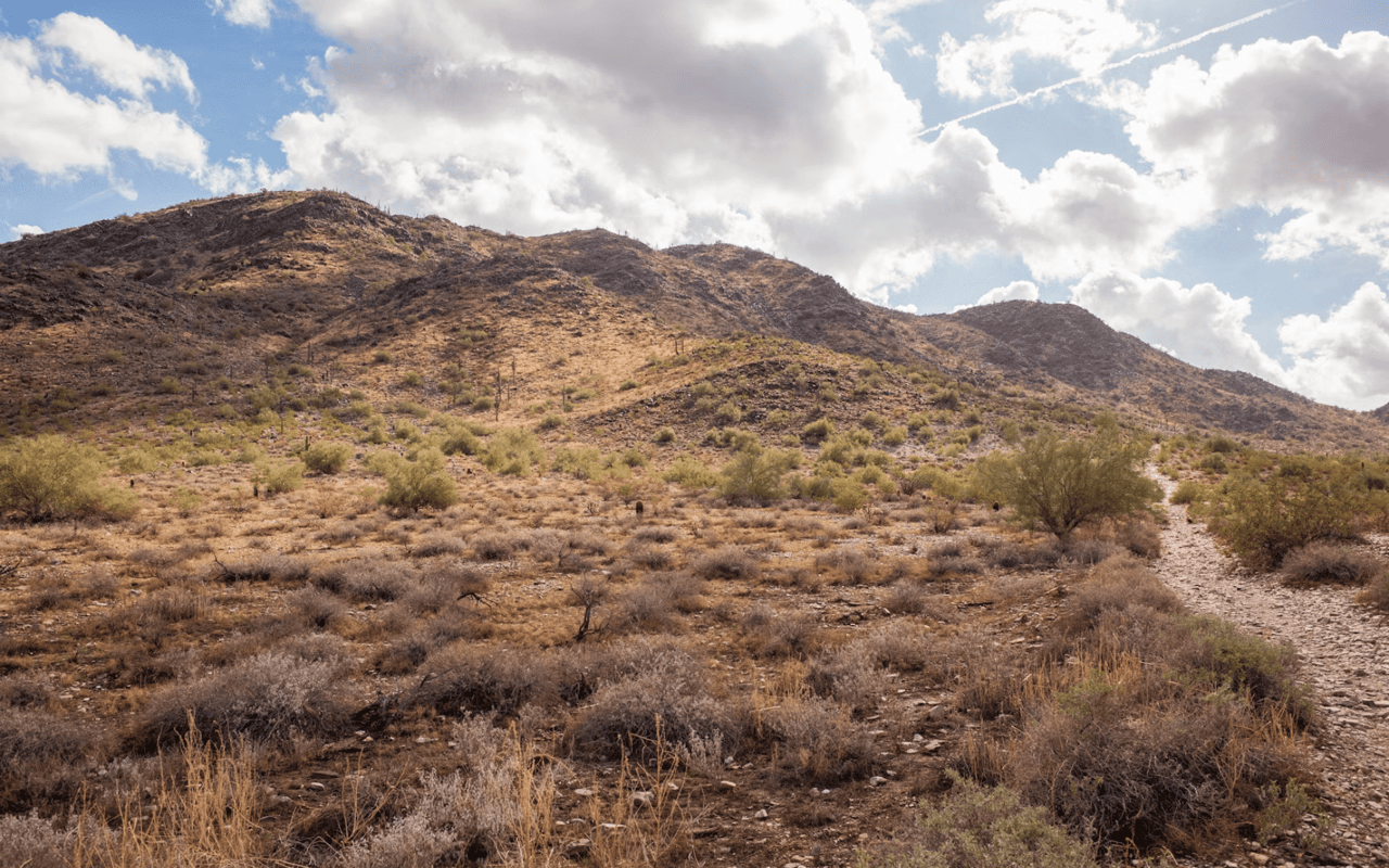 Outdoor Oasis: Parks, Gardens, and Scenic Spots in Scottsdale