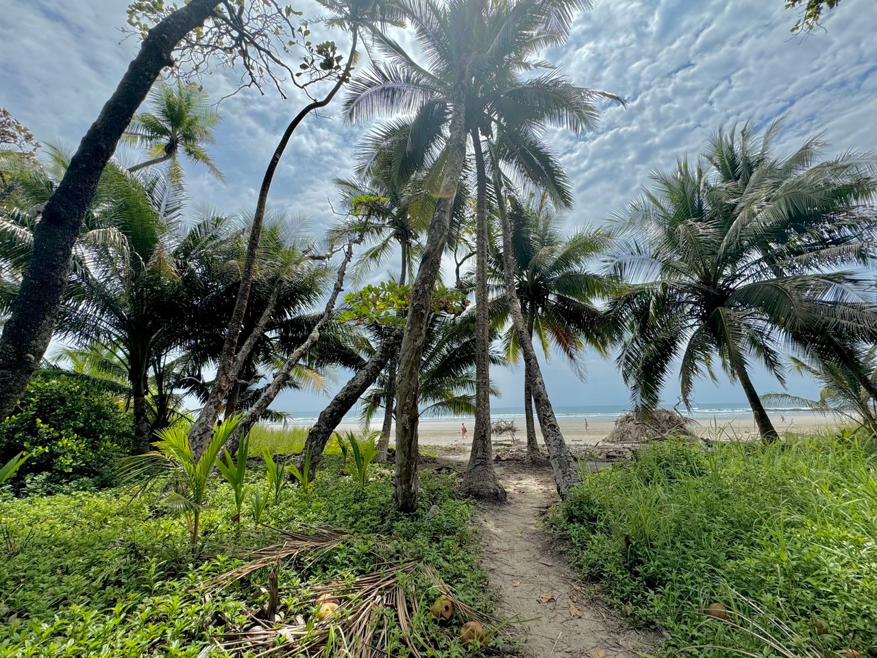 Premier Beachfront Concession Lot, Santa Teresa, Puntarenas
