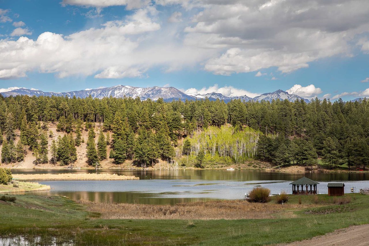 Watusi Ranch - Pagosa Springs, Colorado