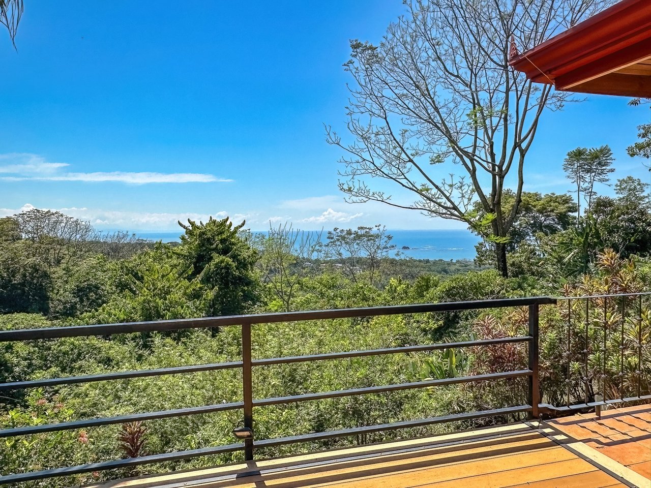 3 Bedroom Ocean View Home with 2.5 acres. Nature and Privacy! 