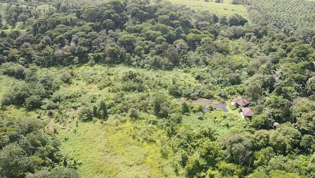 Sustainable Conservation Retreat, Osa, Puntarenas