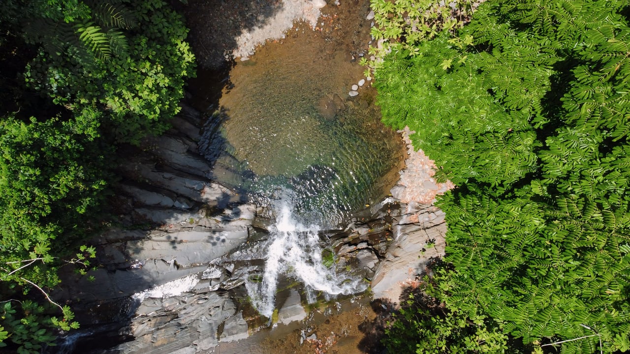 Finca Cerro del Tigre!   Over 20 Acres of Primary Forest and  Waterfalls. 