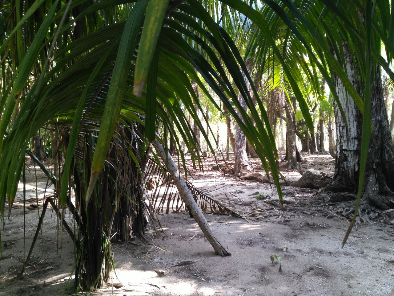 Private Secluded Beachfront Lot, Santa Teresa, Puntarenas
