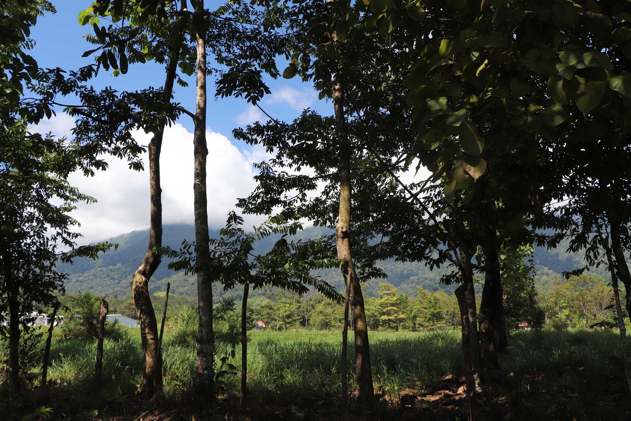 Over 3 Acres, Mountain View Lot in the Heart of Ojochal, Ready for Development!.