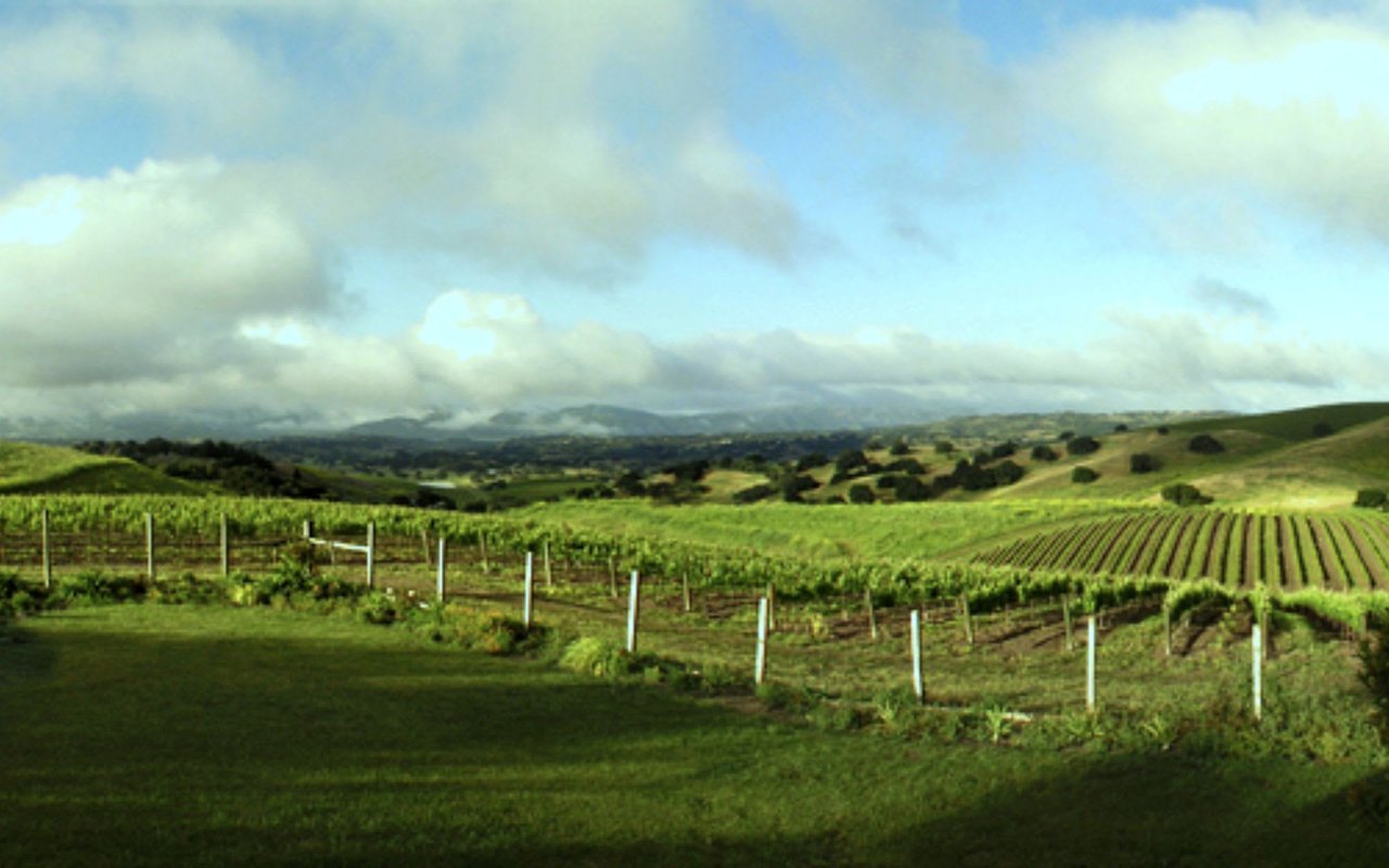 Santa Ynez