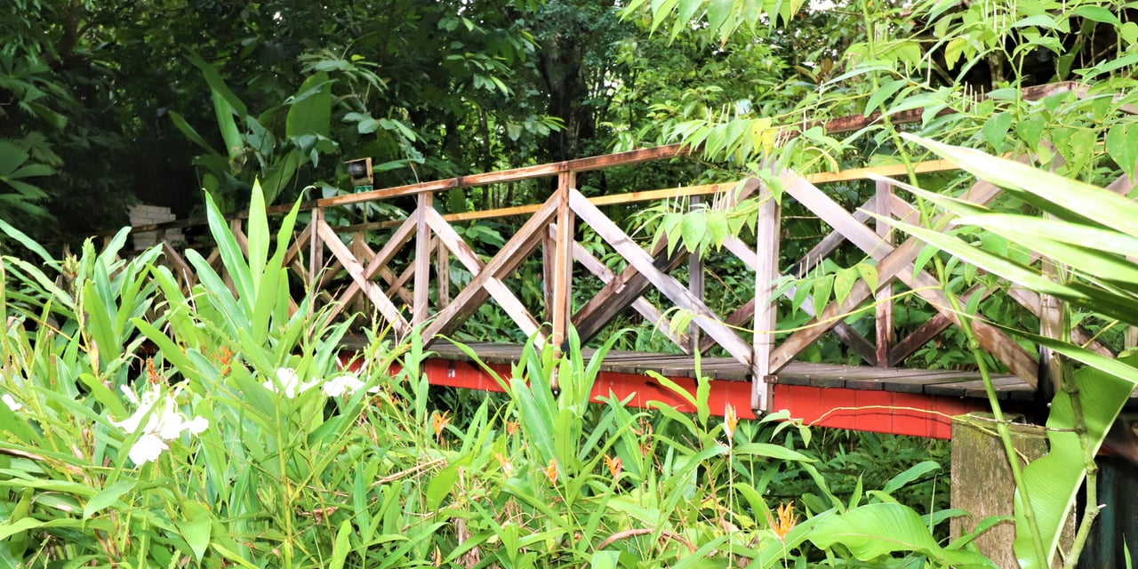 Riverfront Boutique Jungle Hotel, Ojochal, Puntarenas