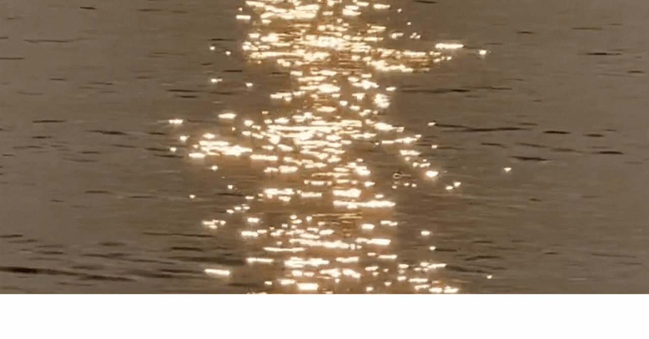 Sunlight glints off the surface of dark.
