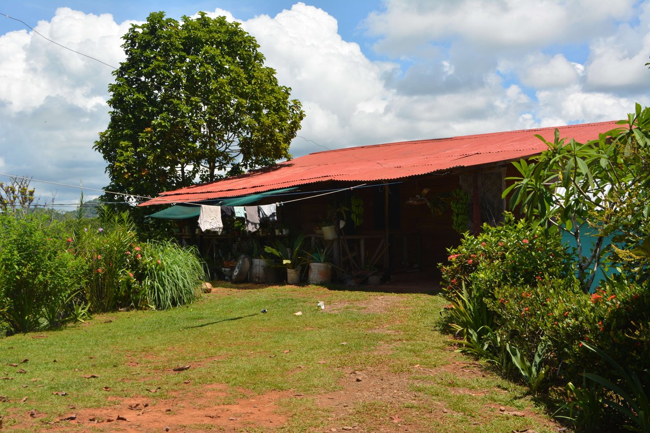Osa Peninsula Los Mogos Magic Golfo Dulce Views 71 Acres