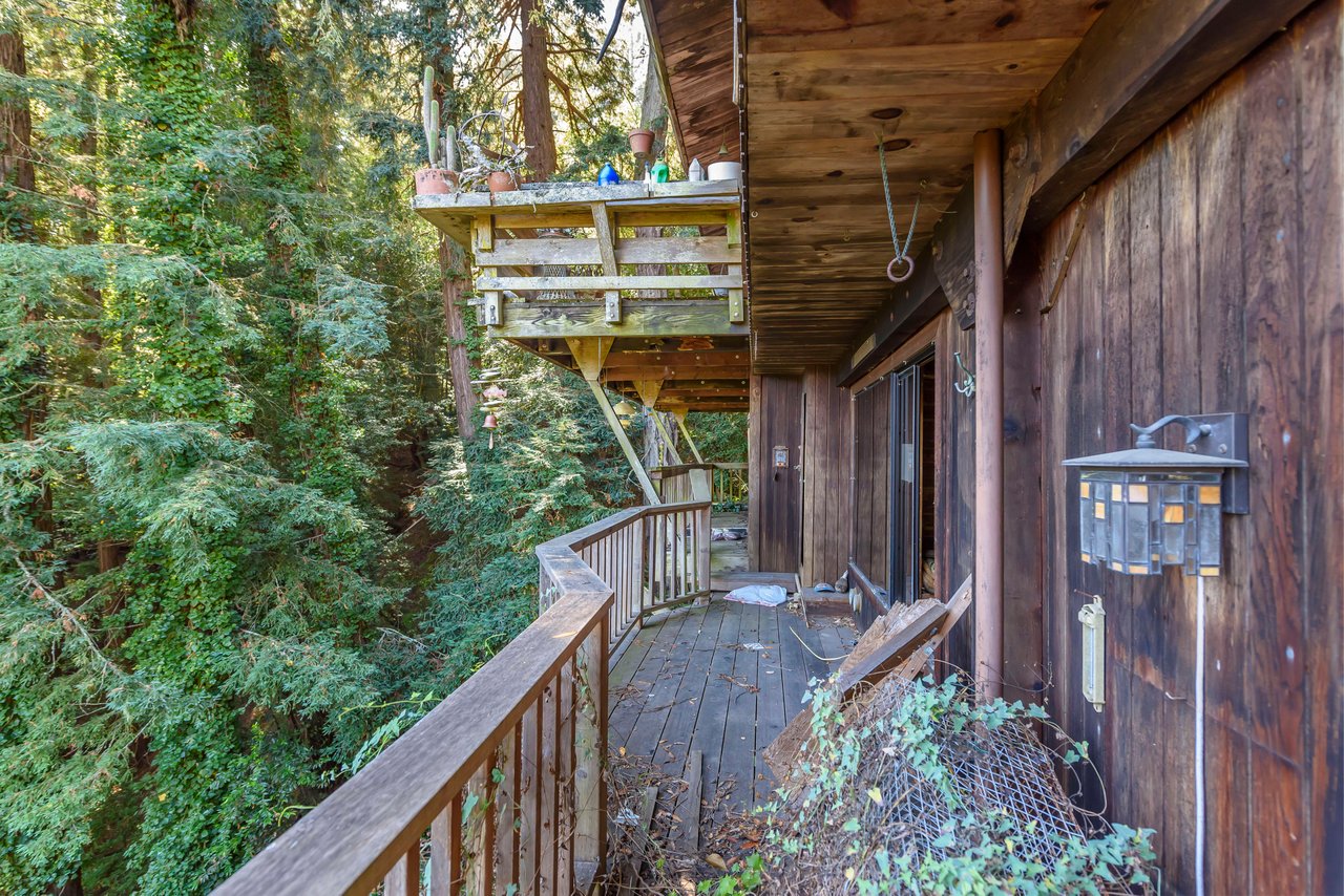 Enchanted and Serene Tree House Property- Represented Seller