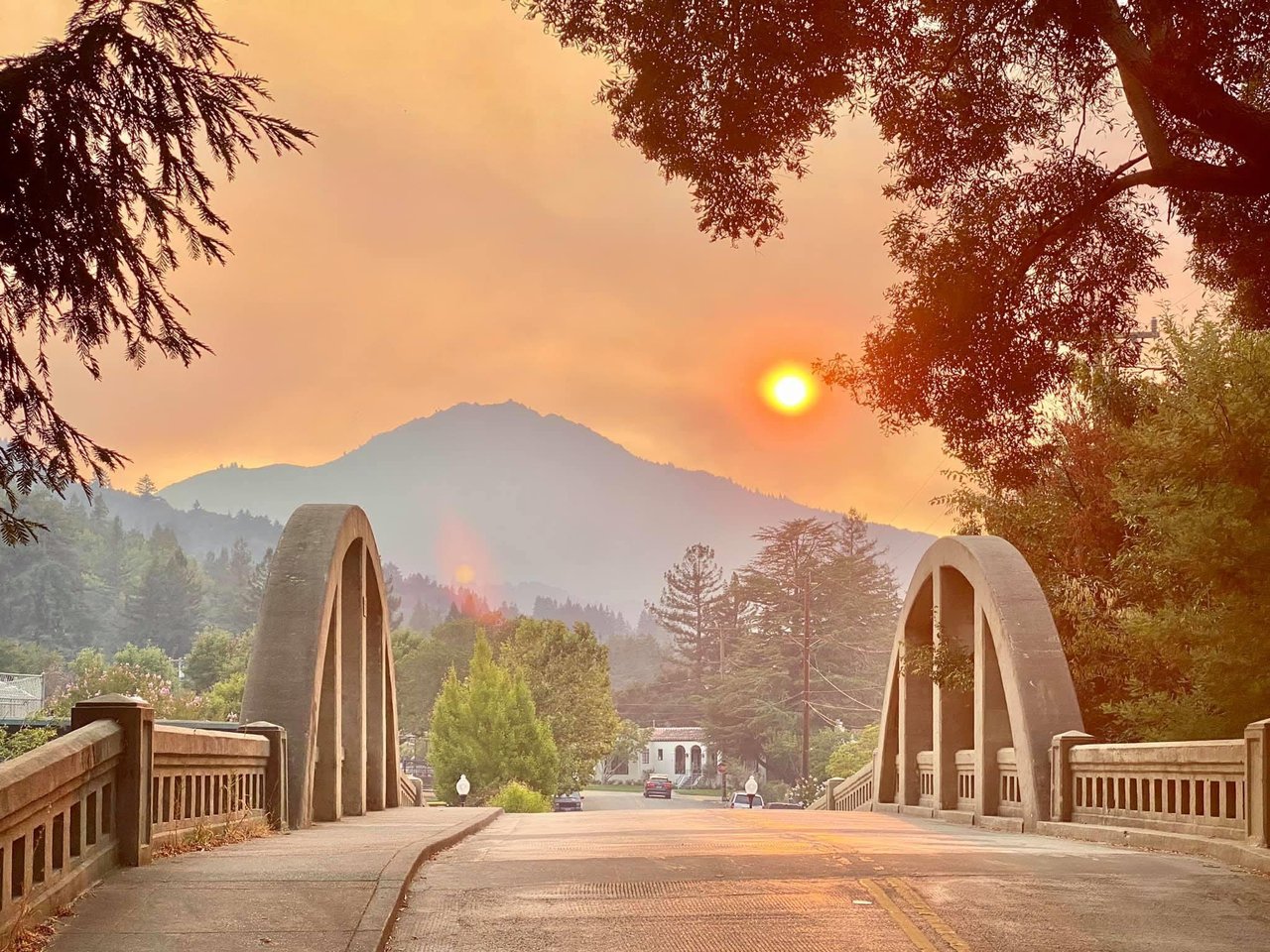 Marin Community and Real Estate Market Report - 8/3/20
