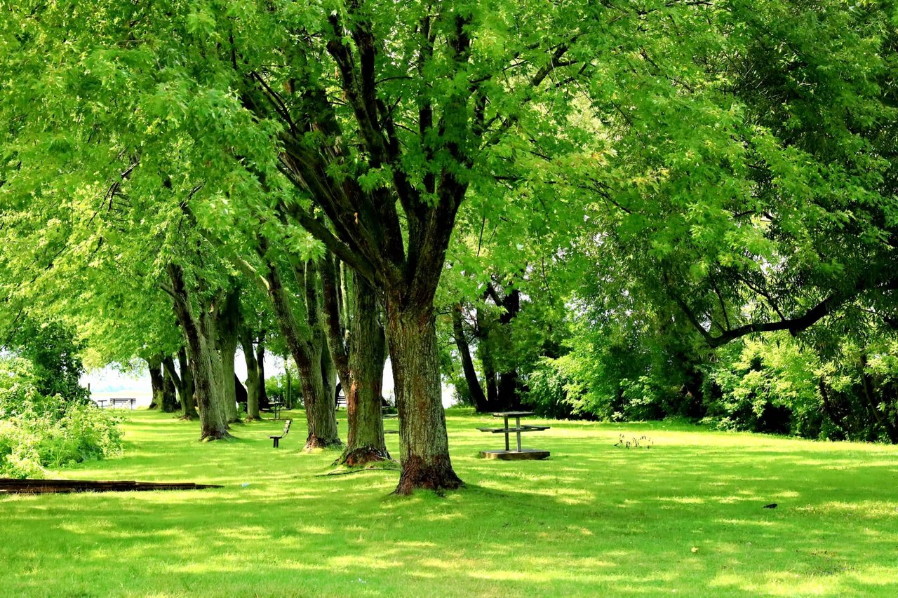 Best 4 Parks in San Mateo County